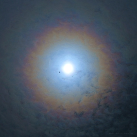Korona dyfrakcyjna w chmurach - prawdopodobnie typu altocumulus. (6 maja 2014r.)